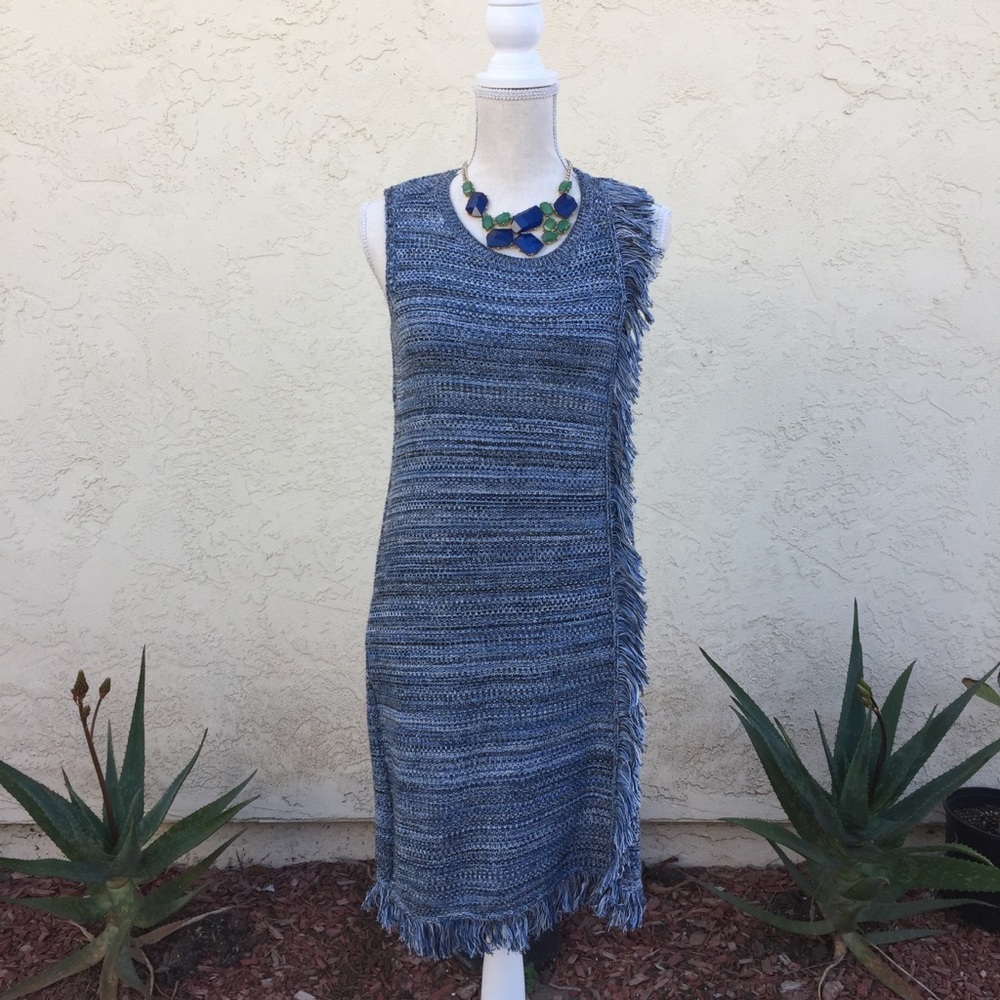 EUC Anthropologie Holding horses side frin…